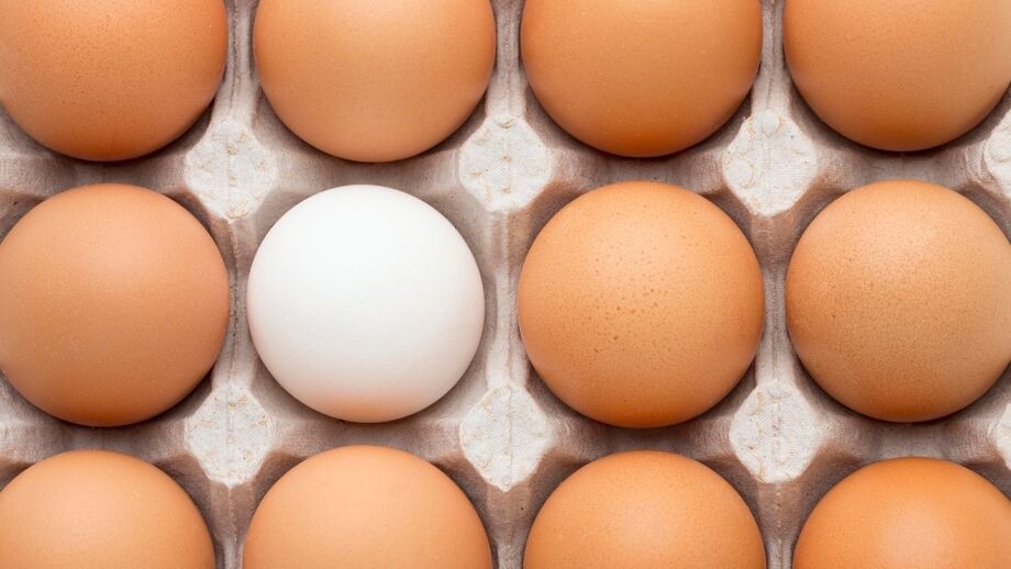 Cerca de 20% de toda a produção de ovos do Brasil é feita em Bastos