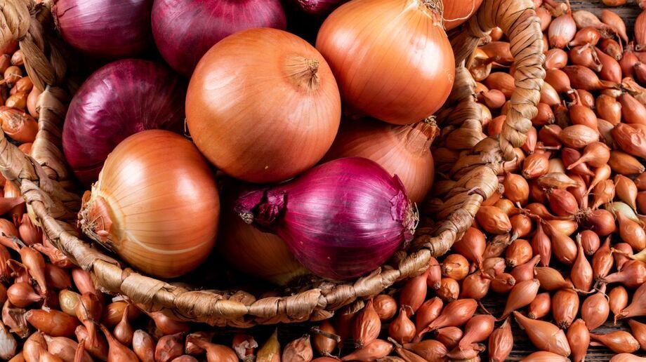 A produção de cebola é o carro-chefe da economia local, com uma média anual de 500 mil toneladas colhidas