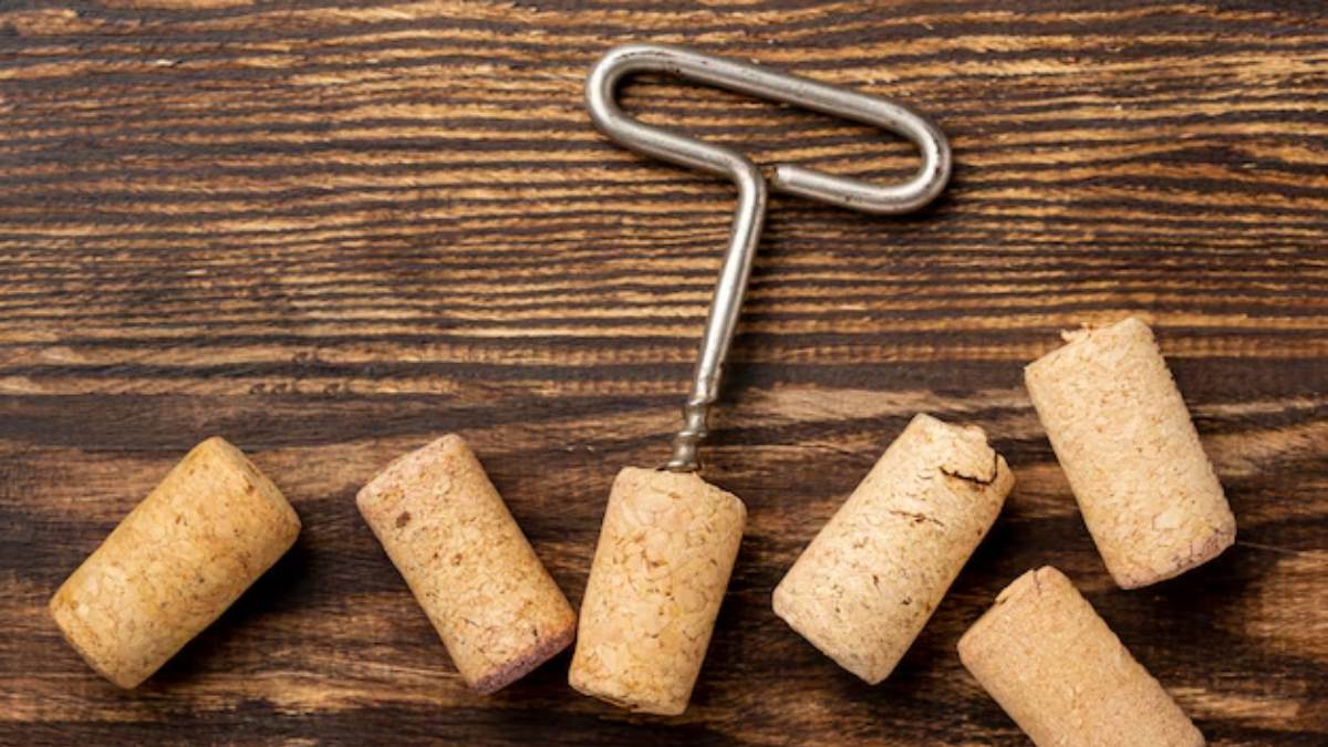 Rolhas de cortiça são aliadas naturais de plantas