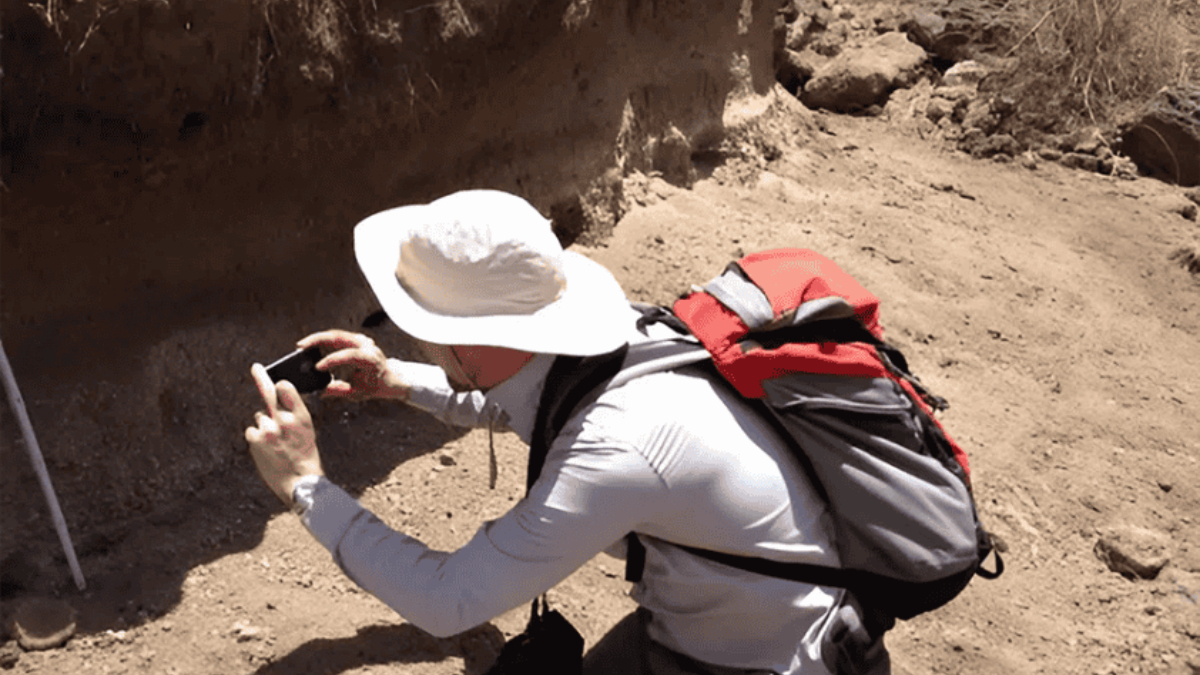 De acordo com o professor Tom Gernon, coautor da pesquisa, o fenômeno pode ser comparado ao fluxo sanguíneo em uma artéria