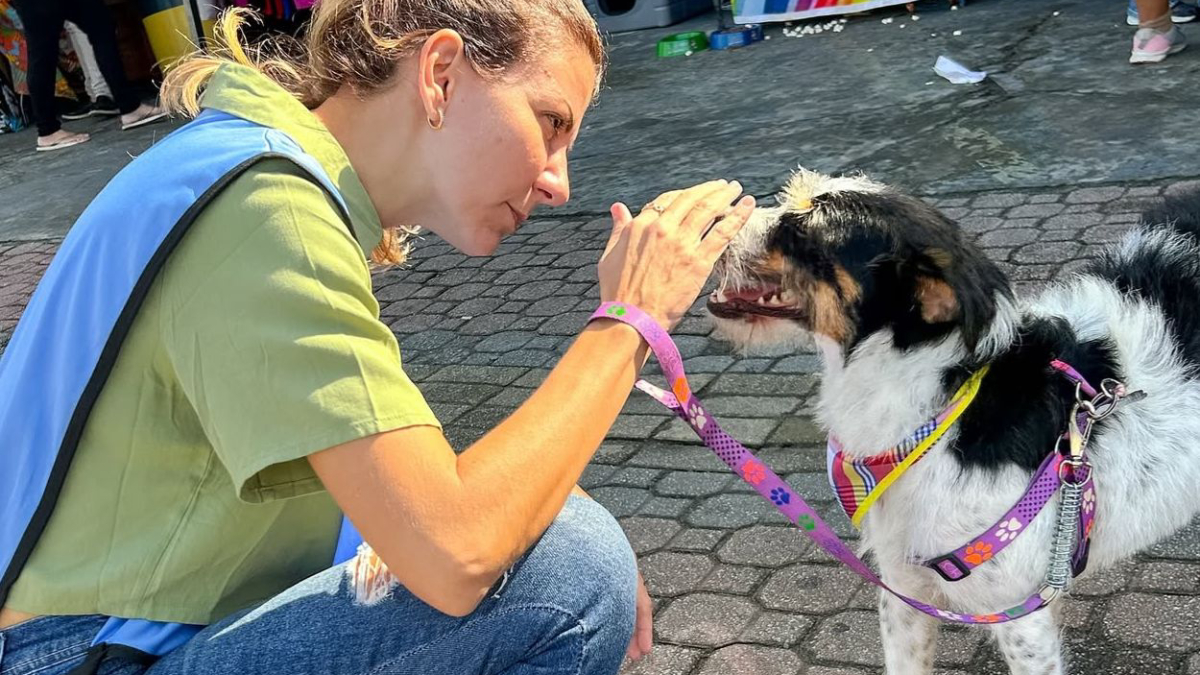 A ação reúne diversão e responsabilidade social ao incentivar a adoção de animais resgatados