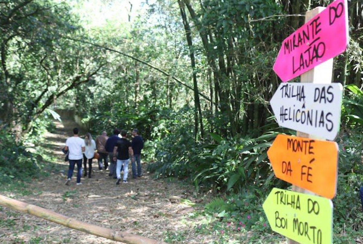 Com 290 mil metros quadrados, o espaço natural abrange áreas de quatro morros Caneleira, Nova Cintra, José Menino e Voturuá (este já em São Vicente)