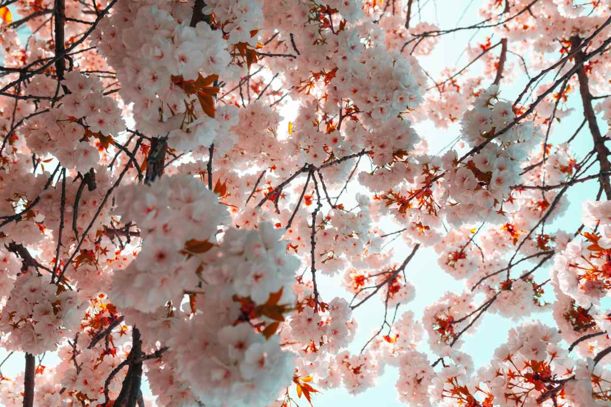 Para quem for de carro, o local oferece estacionamento com tarifa de R$ 50 por veículo