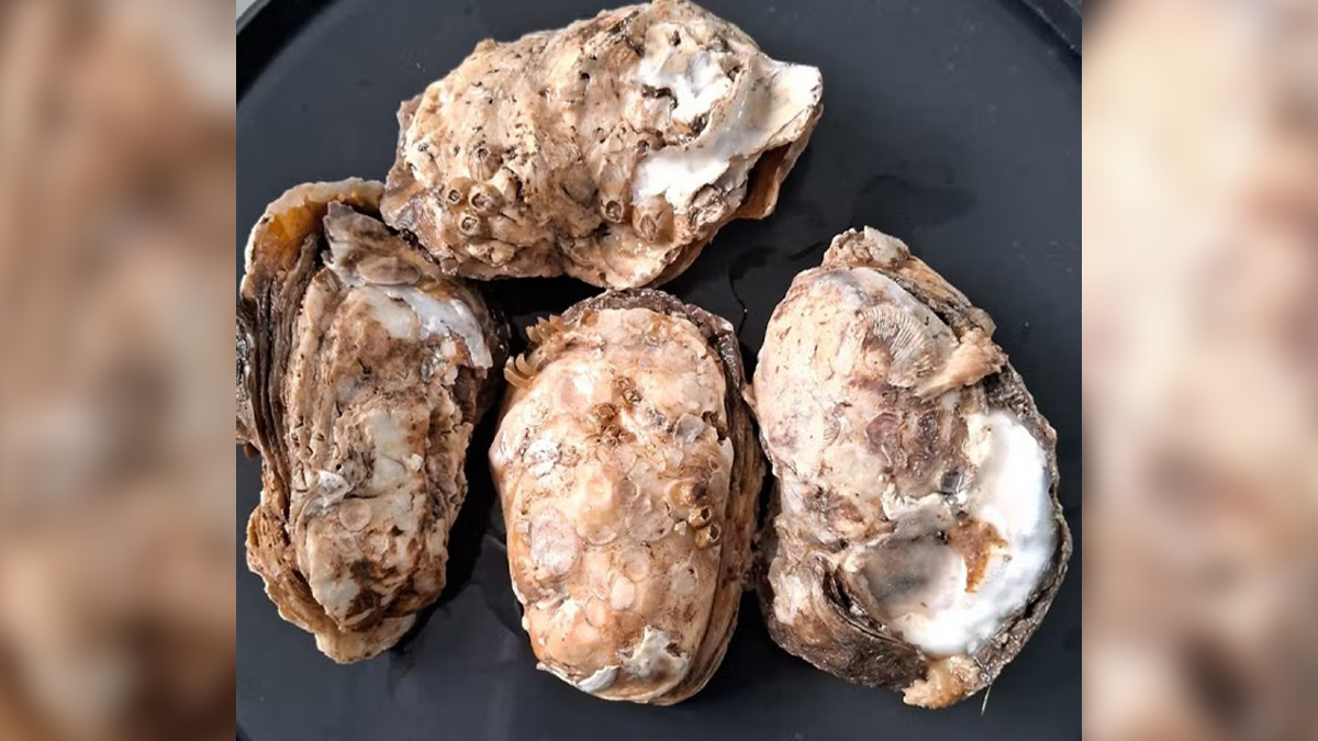 Para chegarem a esse resultado, foram analisadas 108 amostras