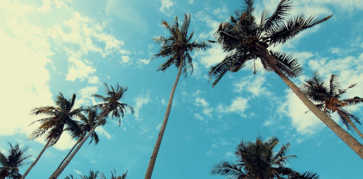 Agosto de 2025 será de tempo instável em todo o país