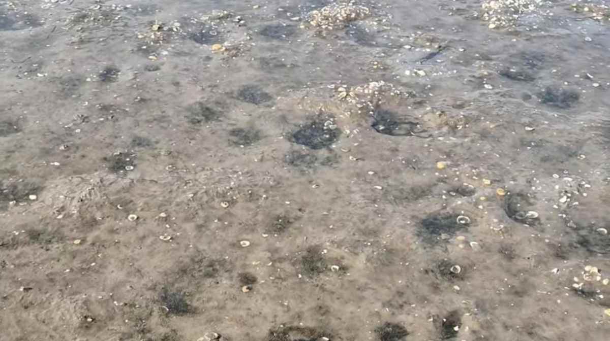 Na verdade, o que foi registrado é uma variação normal da maré