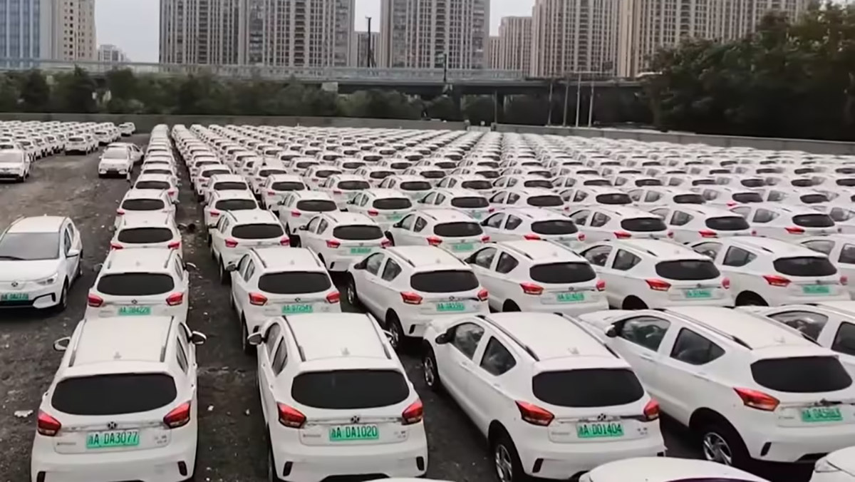 Alguns ficam tanto tempo nesses locais que árvores e vegetação crescem no meio de suas carrocerias