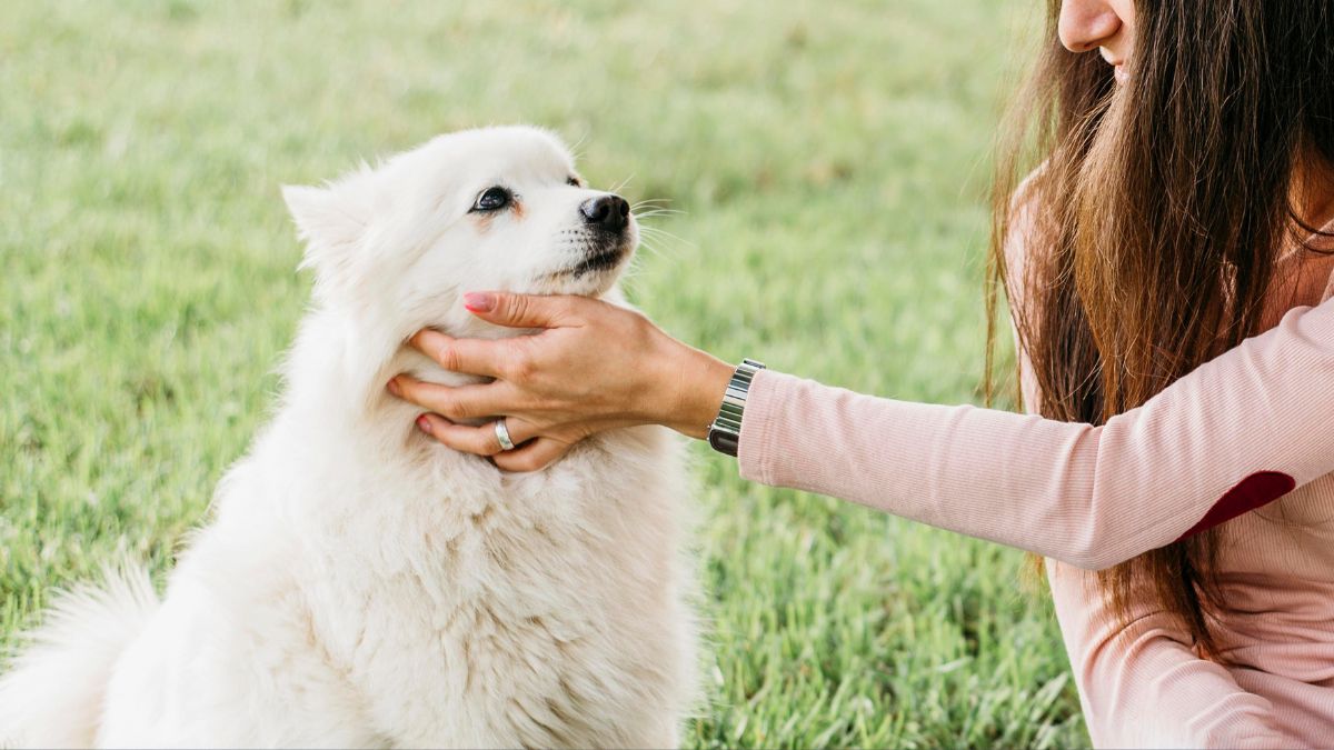 Esse gesto revela muito mais sobre a saúde emocional e os traços de personalidade