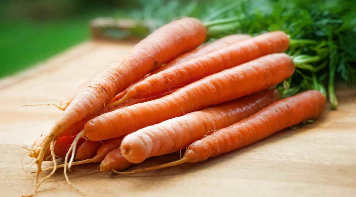 Um fato curioso é que ela produz em média mais de 6 mil toneladas para cada morador