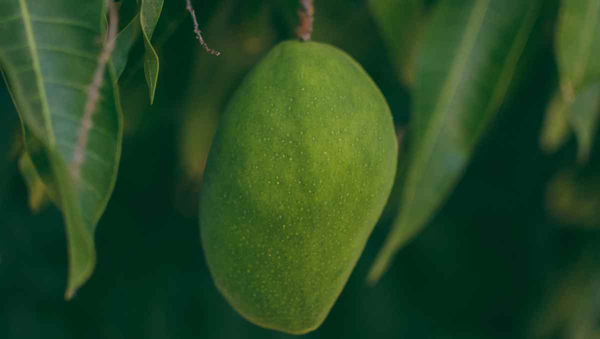 A cidade de Altos conta com cerca de 77 mil habitantes
