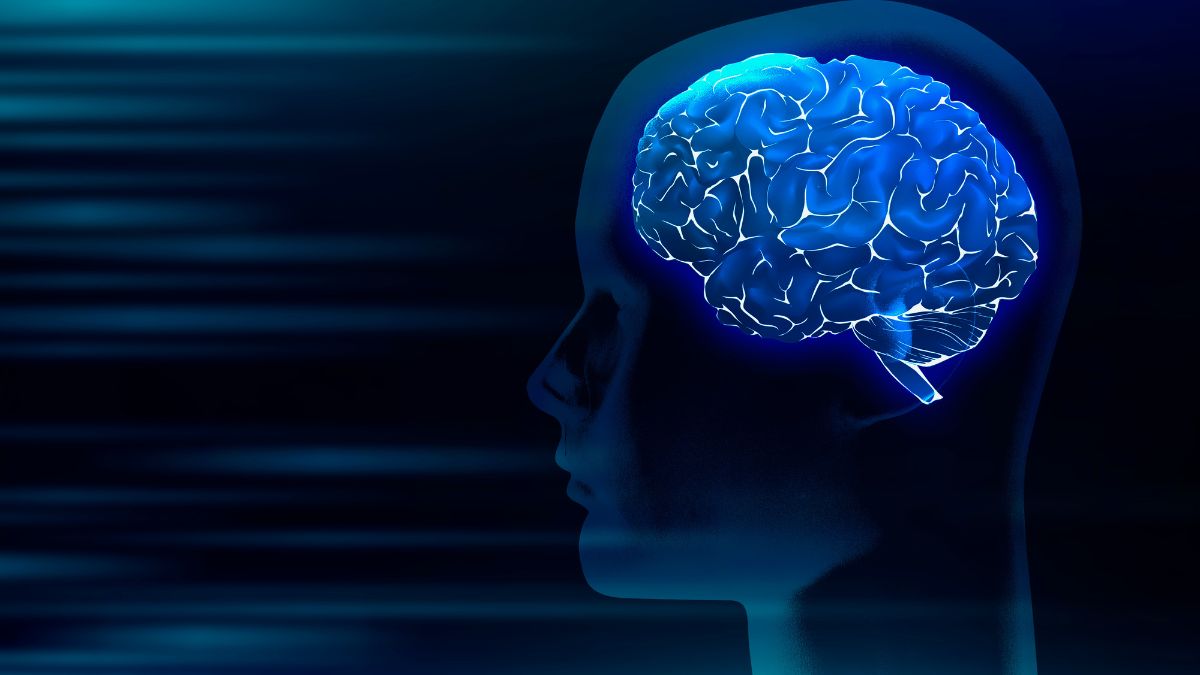 A neurociência revela as chaves para um cérebro mais ágil: descubra 5 técnicas fáceis para aprender e reter informações