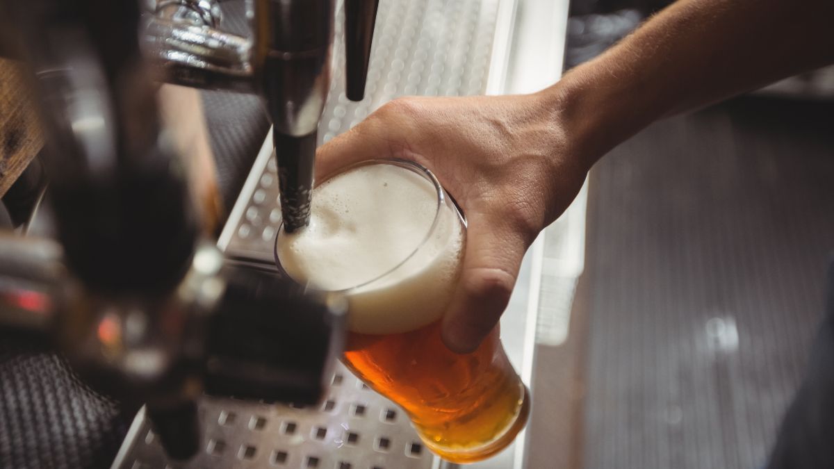 Descobertas recentes mostram o potencial do lúpulo além do sabor da cerveja