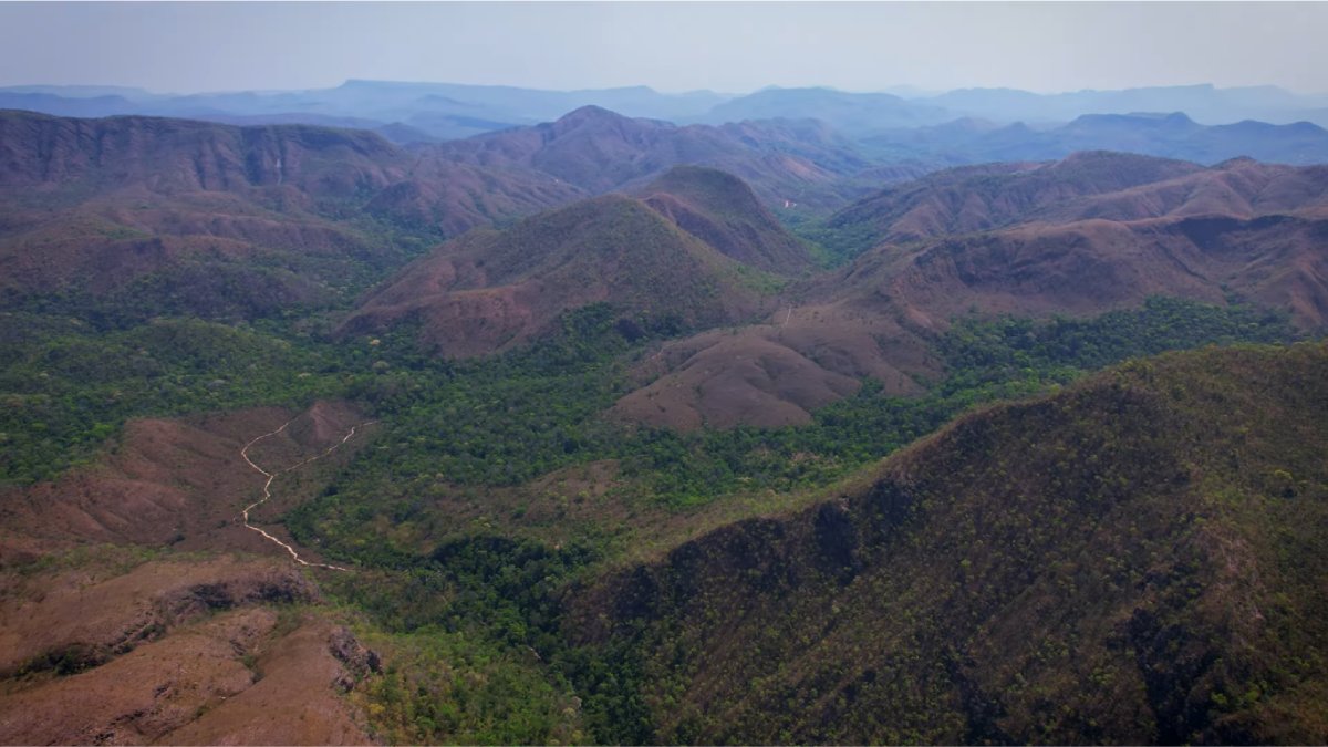 O parque ainda é objeto de estudo por pesquisadores estrangeiros que investigam espécies únicas