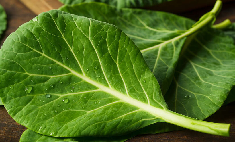 Um superalimento rico em nutrientes essenciais para sua vitalidade diária.