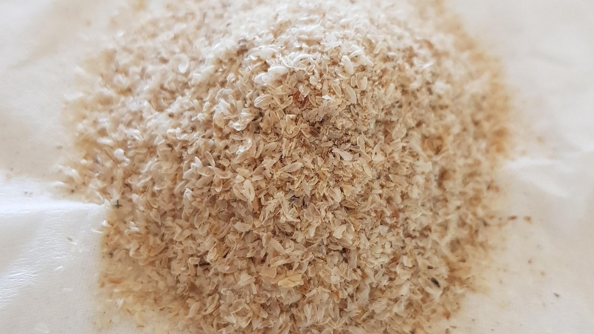 Psyllium é uma fibra alimentar natural  extraída das sementes da planta Plantago ovata