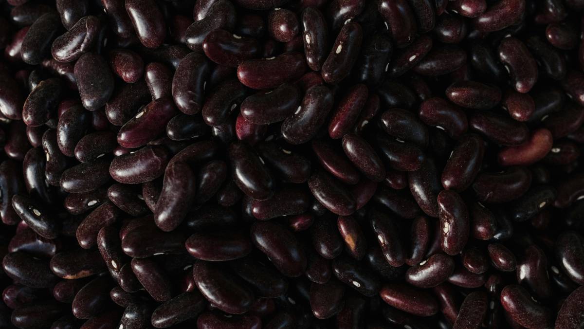 Composto por dezenas de variedades como o preto, branco, fradinho, carioca, azuki e rajado, o feijão é um verdadeiro superalimento que merece destaque na mesa