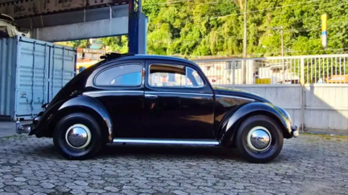 A entrada é gratuita e o público poderá conferir os exemplares no horário de funcionamento do centro de compras