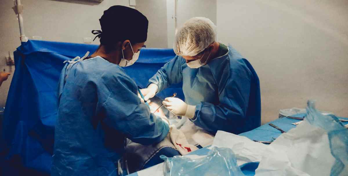 Desde 2024, o Governo de São Paulo, por meio da SES, complementa com recursos do tesouro estadual os valores pagos pela tabela nacional do Sistema Único de Saúde (SUS)