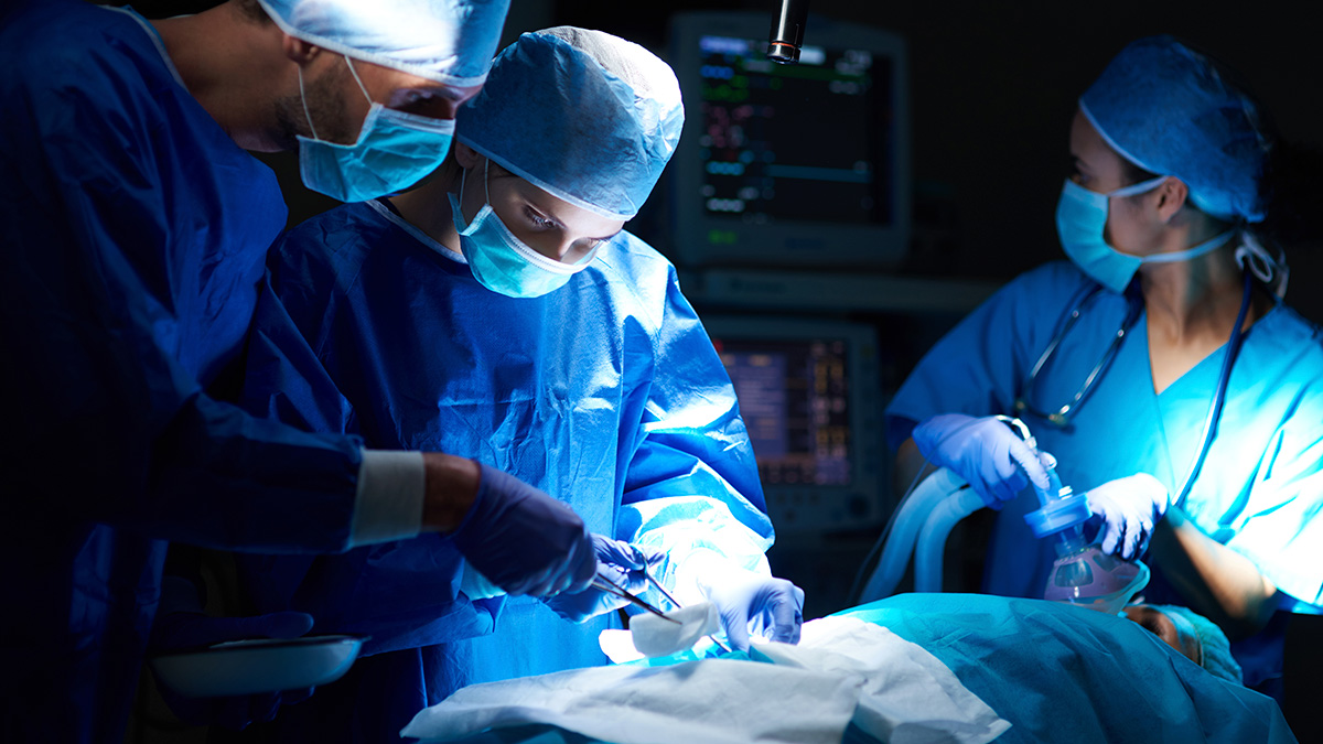 O Brasil possui um dos maiores sistemas públicos de transplantes do mundo, gerenciado pelo Sistema Nacional de Transplantes (SNT).