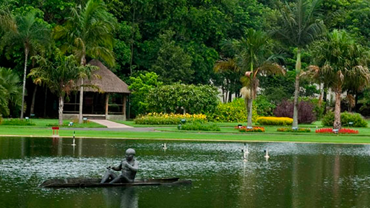 A apenas 100 km da capital paulista, a pacata e acolhedora Nova Odessa surpreende com o o Jardim Botânico Plantarum