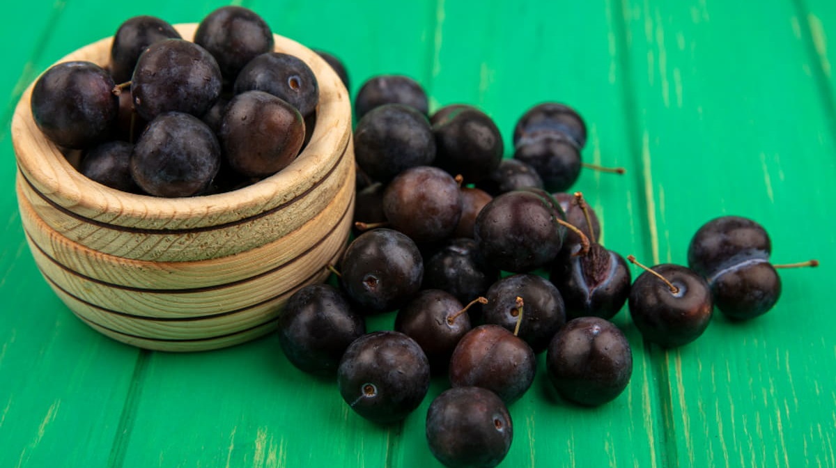 Caroço de jabuticaba tem efeito anti-inflamatório no controlo do peso