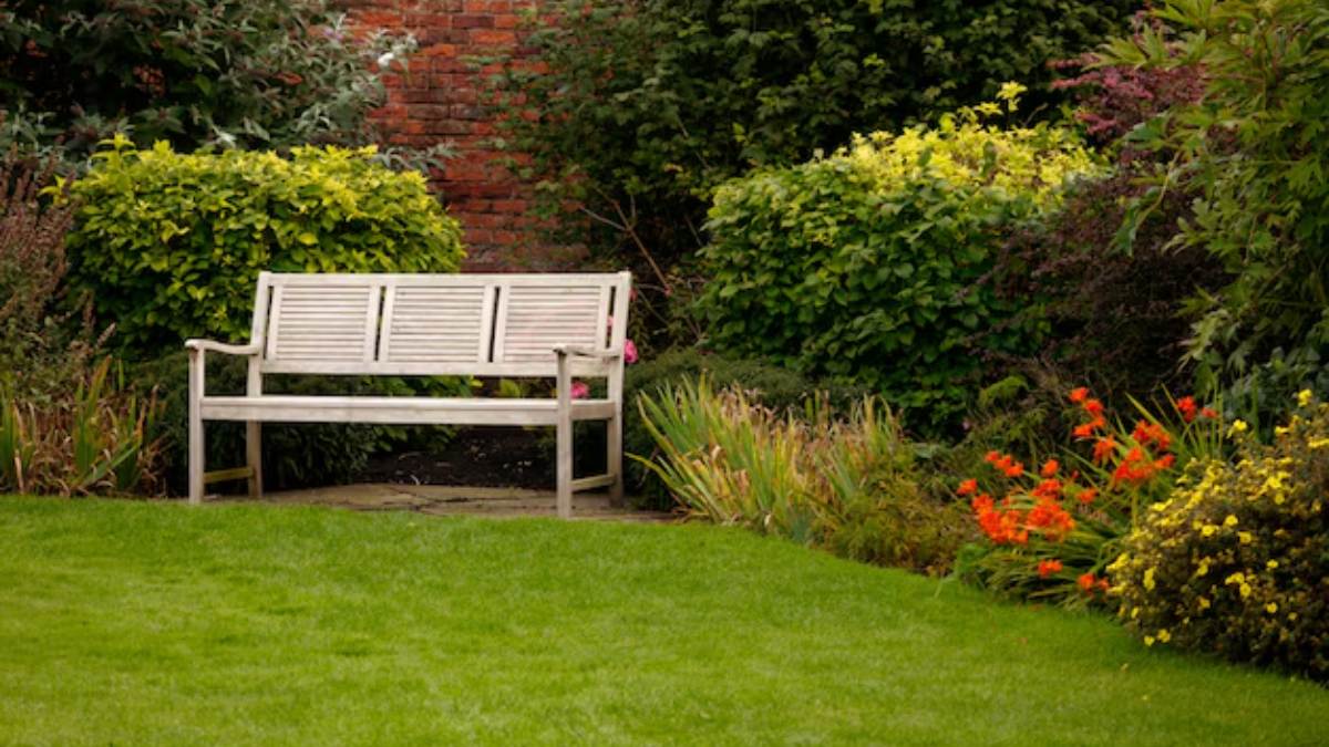 Descubra como ter um jardim livre de pragas