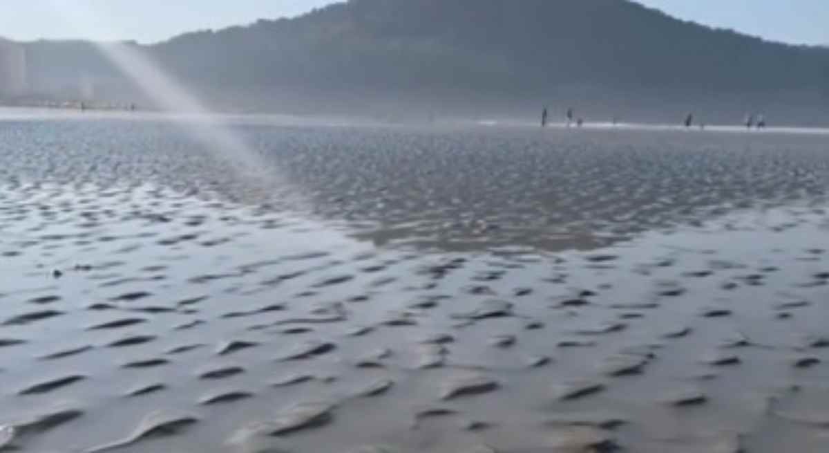 Nos comentários nas redes sociais, diversos moradores demonstraram preocupação com o fenômeno