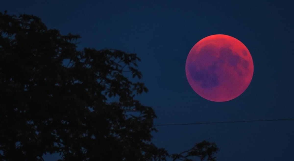 No Brasil, o eclipse não poderá ser visto a olho nu, mas o público poderá acompanhar a transmissão ao vivo em plataformas digitais
