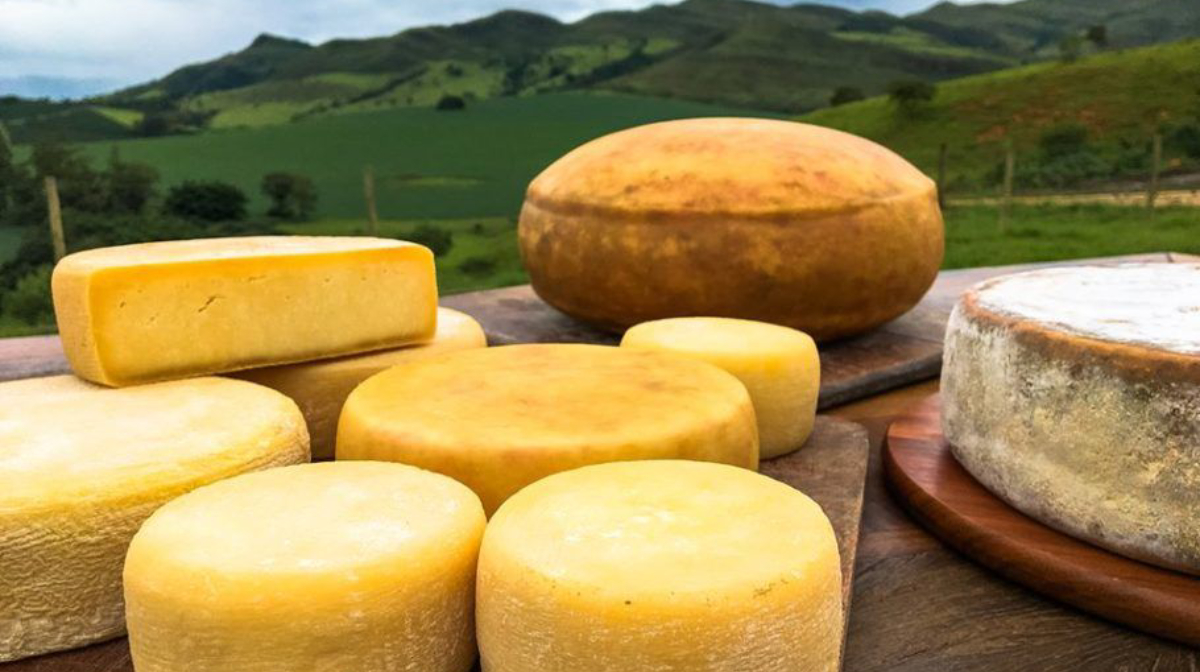 Nas fazendas e laticínios, os visitantes acompanham de perto o processo de fabricação de queijos artesanais, participam de degustações