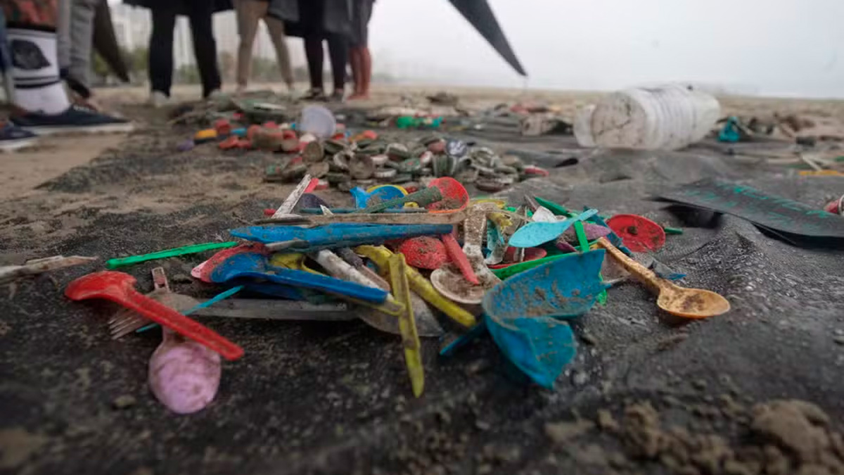 O levantamento faz parte da pesquisa