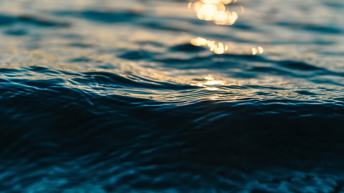 O dilema está posto: como equilibrar a urgência econômica da transição energética com a preservação dos oceanos