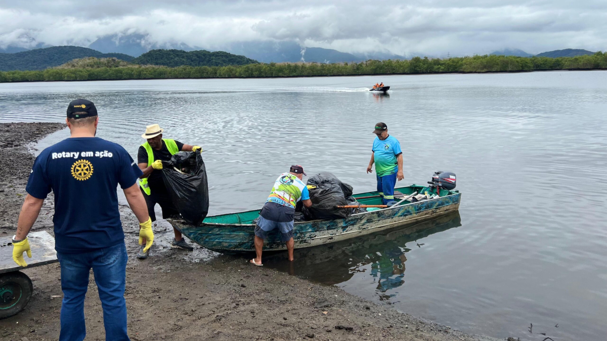 O manguezal desempenha papel crucial na reprodução de diversas espécies marinhas e aves
