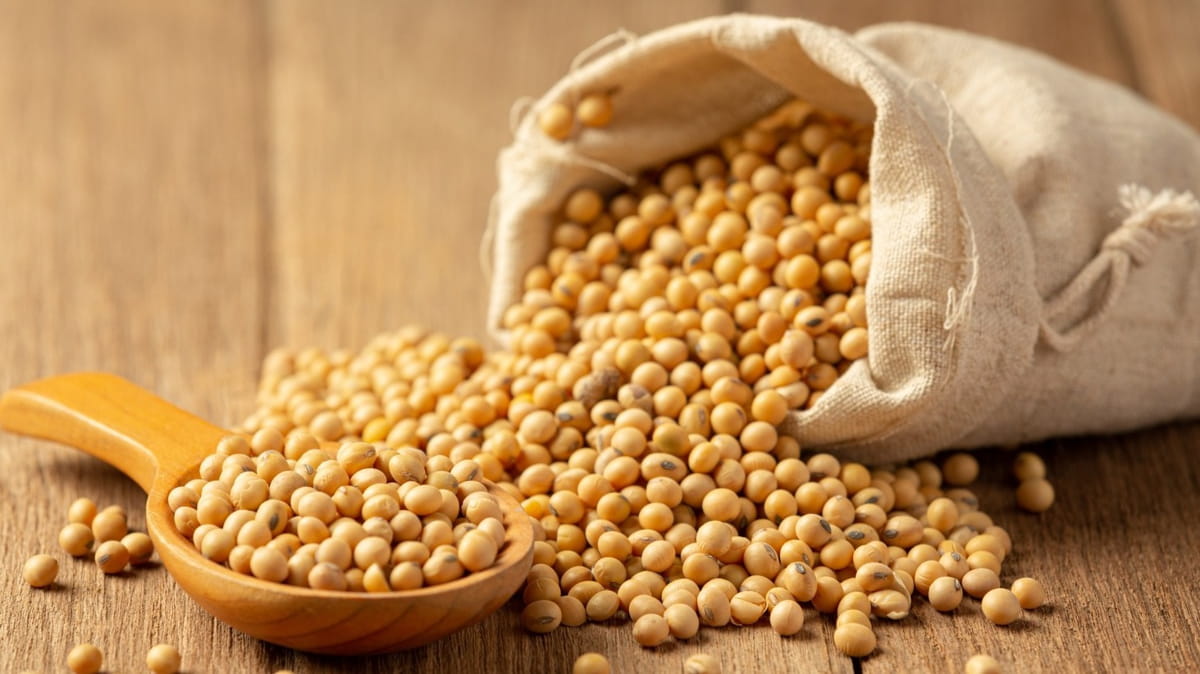 A soja texturizada contém proteínas de alto valor biológico, comparáveis às de origem animal, fundamentais para o funcionamento do organismo