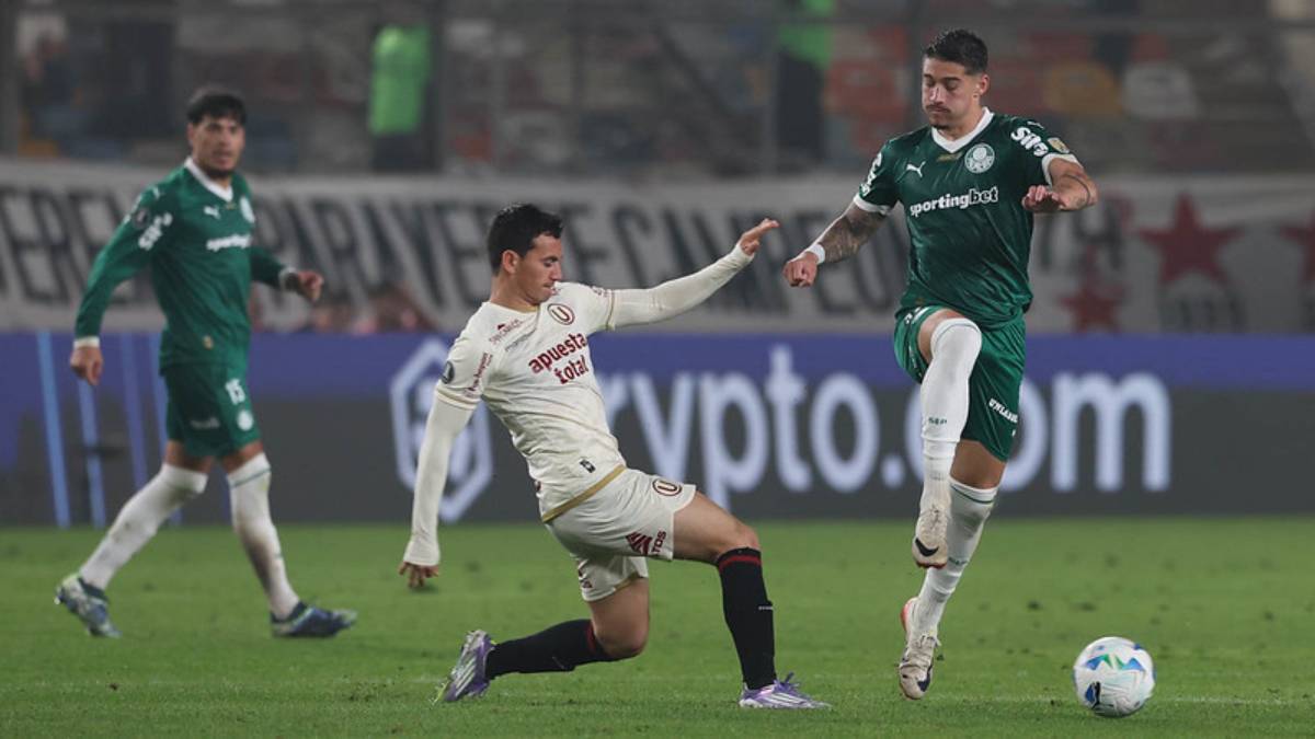 O Diário do Litoral preparou um resumão completo para você não perder nada do que vai rolar