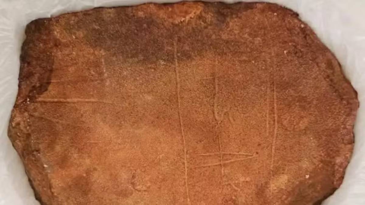 Apesar da empolgação, o conteúdo ainda precisa ser analisado por outros especialistas