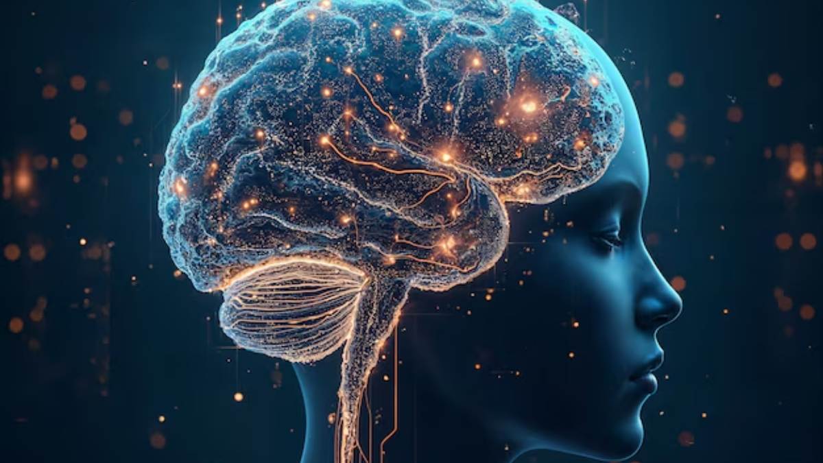 Novos estudos apontam proteína relacionada ao envelhecimento cerebral