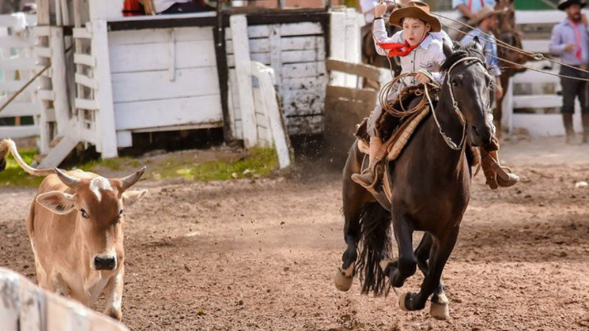 Topete justifica que sua proposta prevê a defesa sanitária animal