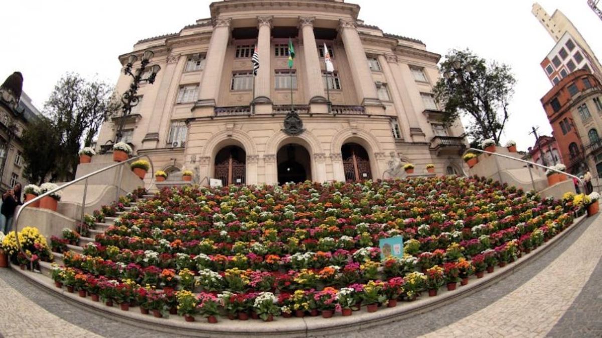 Cenários floridos transformam Santos durante a 5ª edição da Primavera Criativa, que leva arte, música e economia criativa ao Centro Histórico e outros pontos da cidade