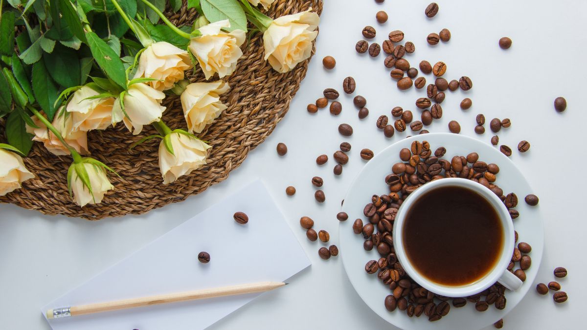 Além de despertar pessoas pela manhã, o café também fortalece raízes, nutre o solo e protege plantas de forma natural