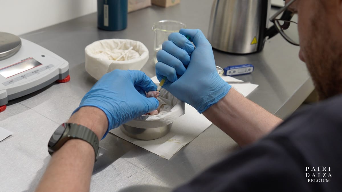 Nascimento foi anunciado pelo zoológico belga Pairi Daiza, por meio de seu Facebook