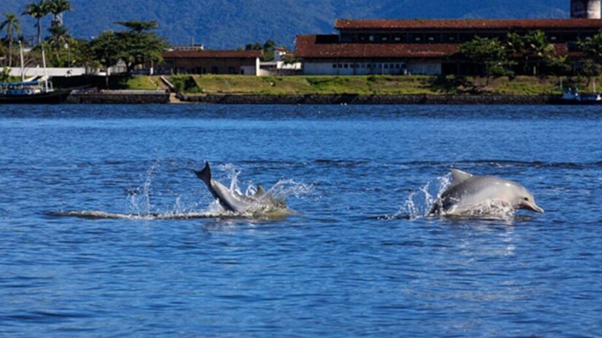 Cananeia, no Vale do Ribeira, é uma das cidades mais antigas do Brasil