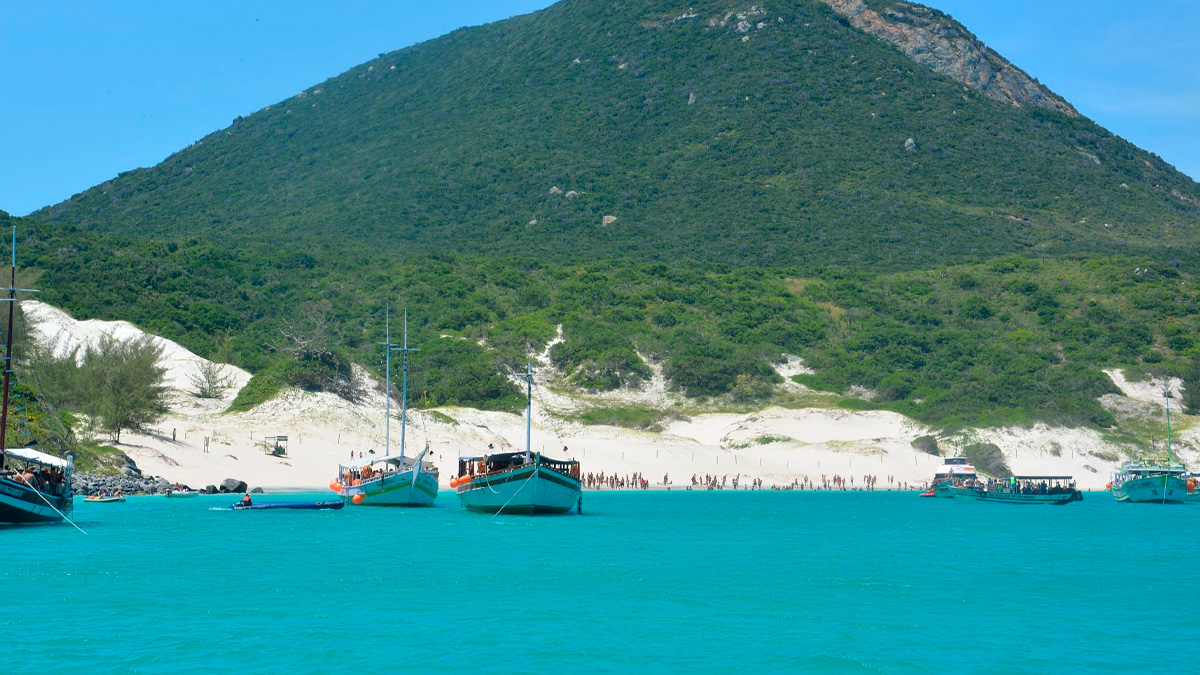 O estado do Rio de Janeiro, conhecido por suas paisagens deslumbrantes, agora tem mais um motivo de orgulho.