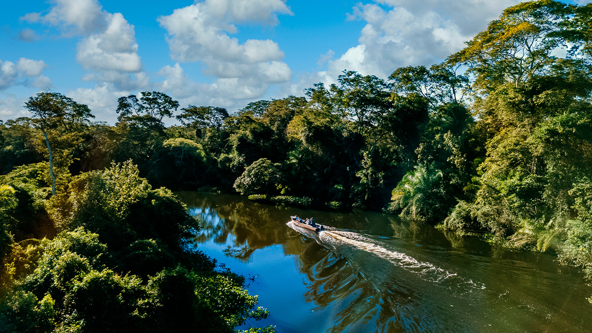 No entanto, uma nova pesquisa internacional trouxe um resultado surpreendente, e positivo.