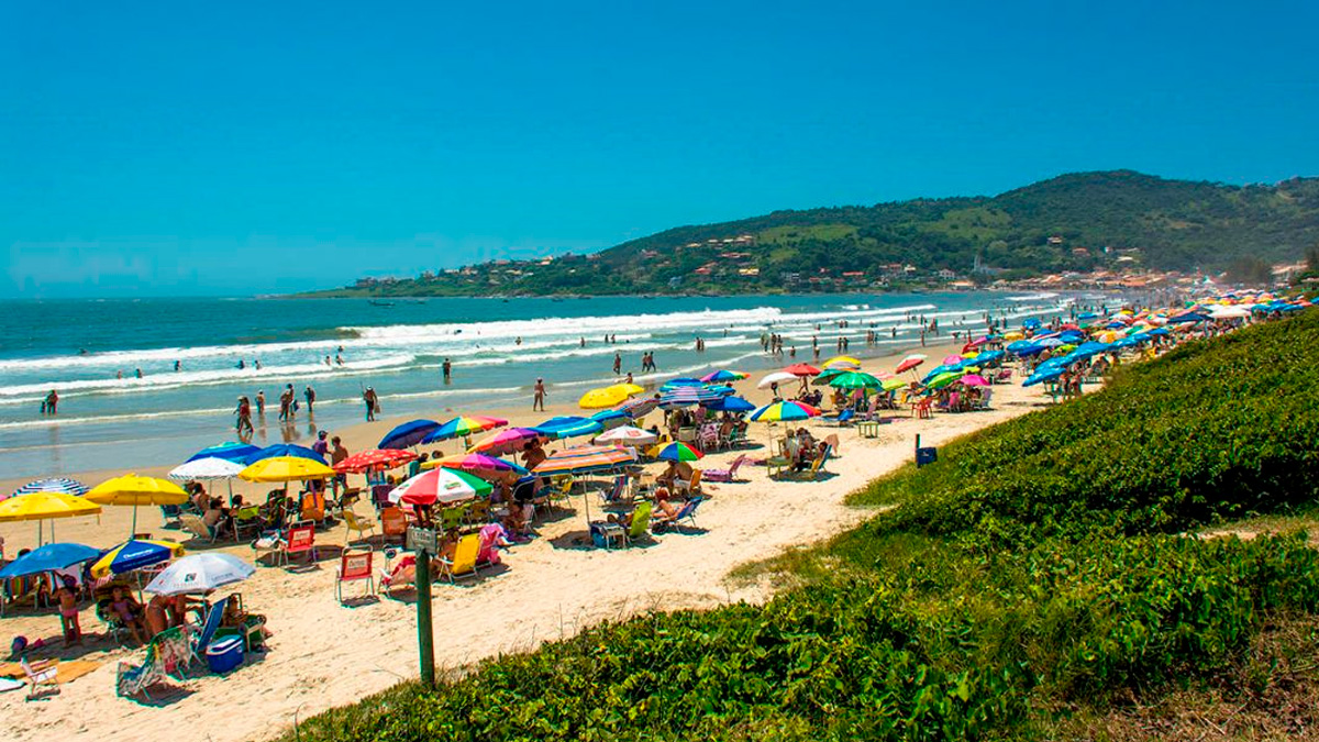 O estudo ganha relevância especial para regiões litorâneas, onde a espécie é nativa