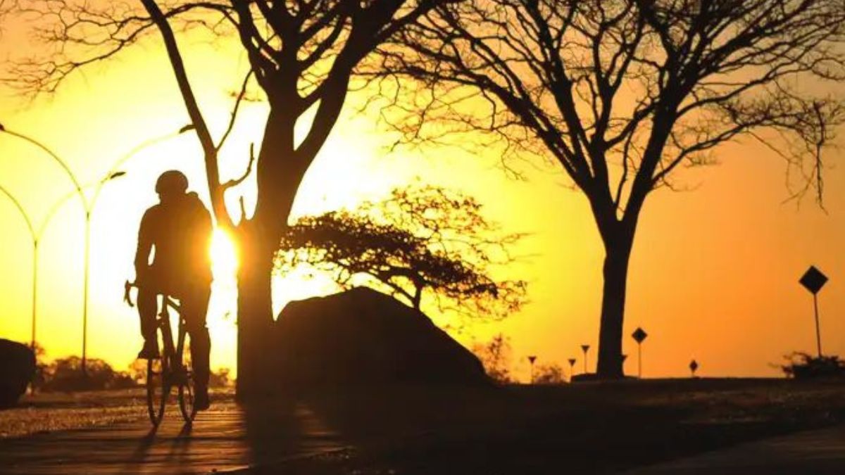 Estado de São Paulo tem mais de 500 municípios com alerta severo