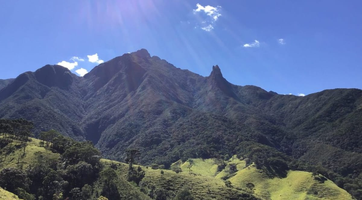 Essas áreas são classificadas como insubstituíveis porque abrigam espécies únicas, muitas delas ameaçadas de extinção, que não sobrevivem em nenhum outro lugar do planeta