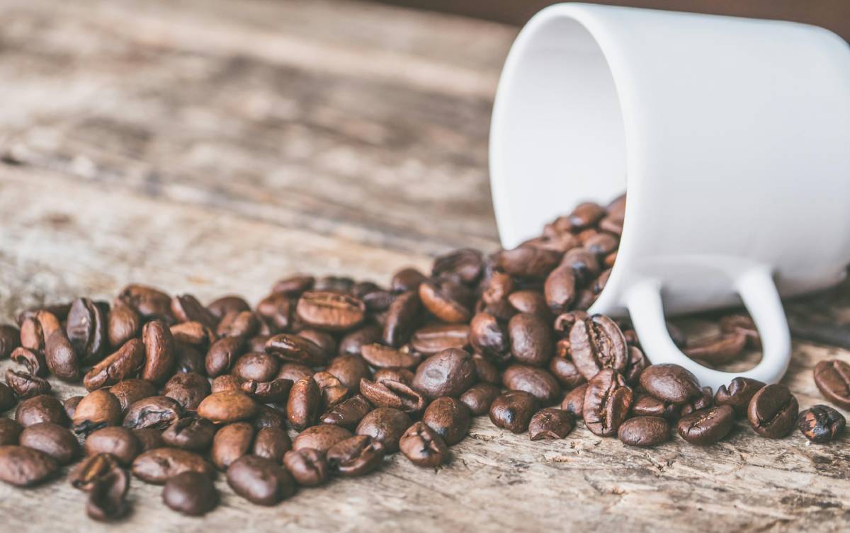 Na rodada de investimentos, a máquina despertou interesse de investidores chineses e holandeses