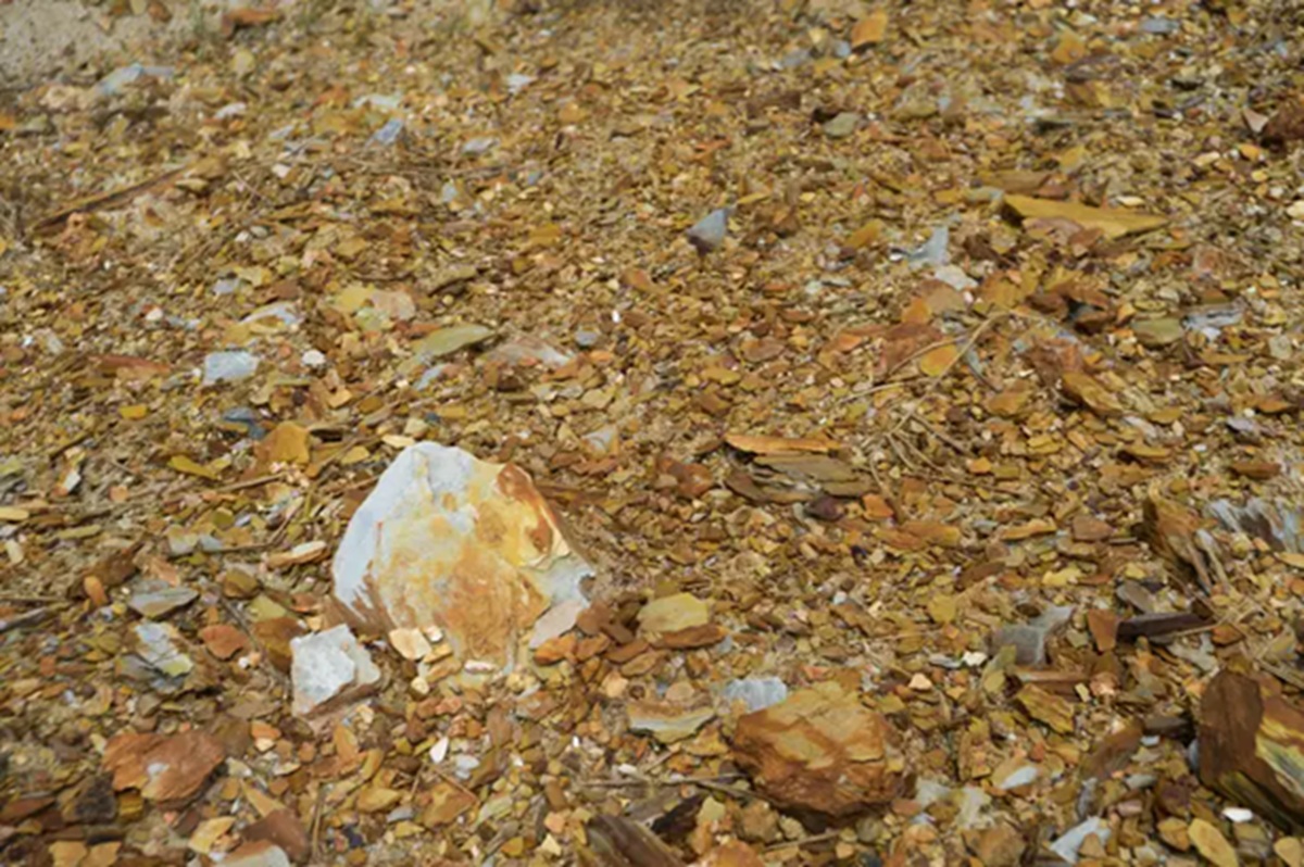 Jazida de ouro na china vai R$ 451 bilhões