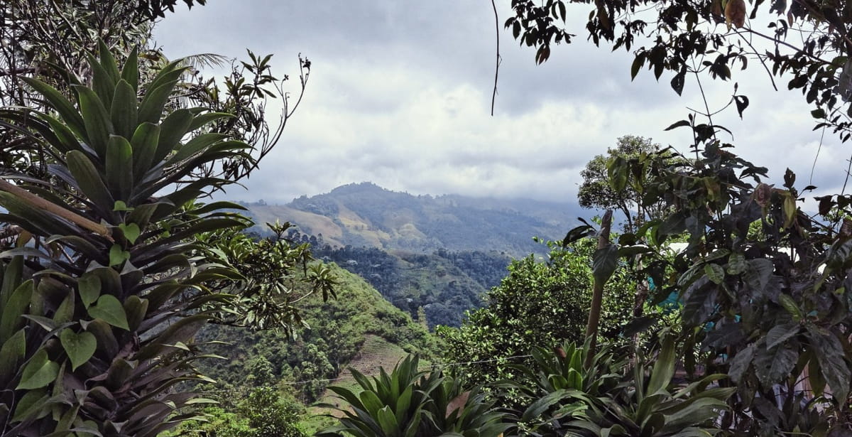 Durante quatro dias, o evento ofereceu uma programação diversificada