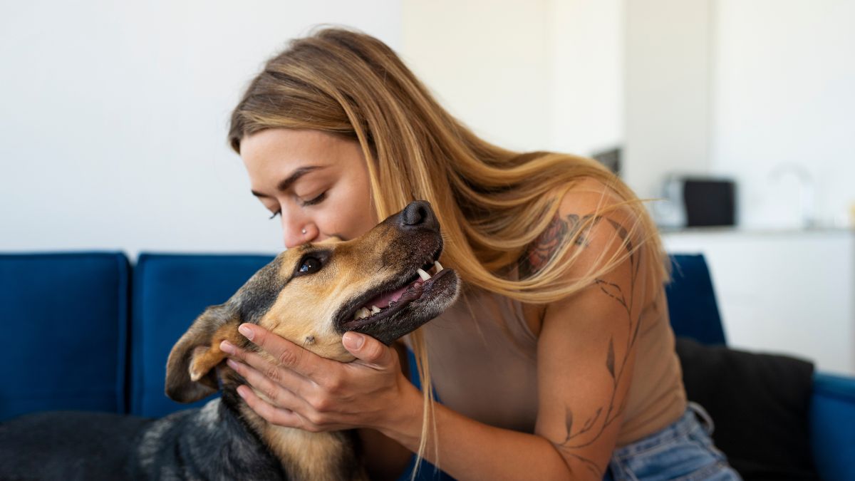 Conversar com animais revela traços de inteligência emocional e visão comunitária